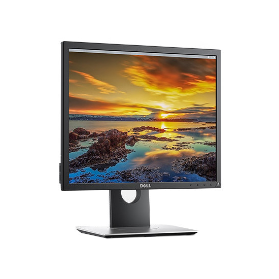 M&#224;n H&#236;nh - LCD DELL Pro P2017H (PK80H) 19.5 inch HD (1600 x 900) IPS LED Antiglare _VGA_ HDMI _DP _USB _3086D